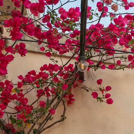 Giulia's House, Monti Roma